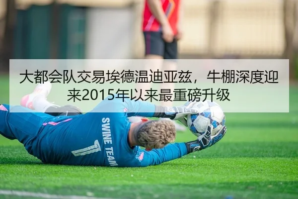 大都会队交易埃德温迪亚兹，牛棚深度迎来2015年以来最重磅升级